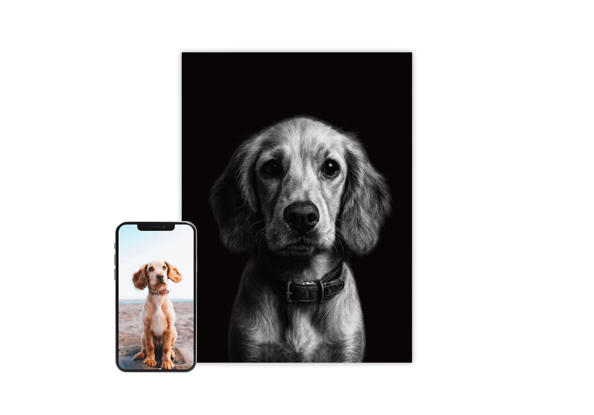 Décorez votre espace avec cette affiche studio noir et blanc mettant en vedette un chien. Parfait pour les amoureux des animaux, ce poster apporte une touche artistique et élégante à votre décoration intérieure. Idéal pour créer une ambiance apaisante et sophistiquée.