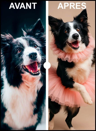 Inspirez votre espace avec cette affiche unique de chien en danse classique. Idéale pour les amateurs d'animaux et de décoration, ce poster captivant ajoute une touche d'élégance et de charme à votre intérieur. Découvrez l'art animalier sous un nouveau jour.