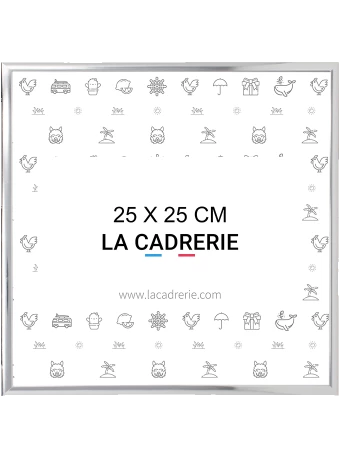 Découvrez notre élégant cadre 25x25cm en aluminium argenté, idéal pour sublimer posters et affiches. Ce cadre photo 25x25cm, au design moderne, rehausse votre décoration intérieure, ajoutant une touche sophistiquée à tout espace.