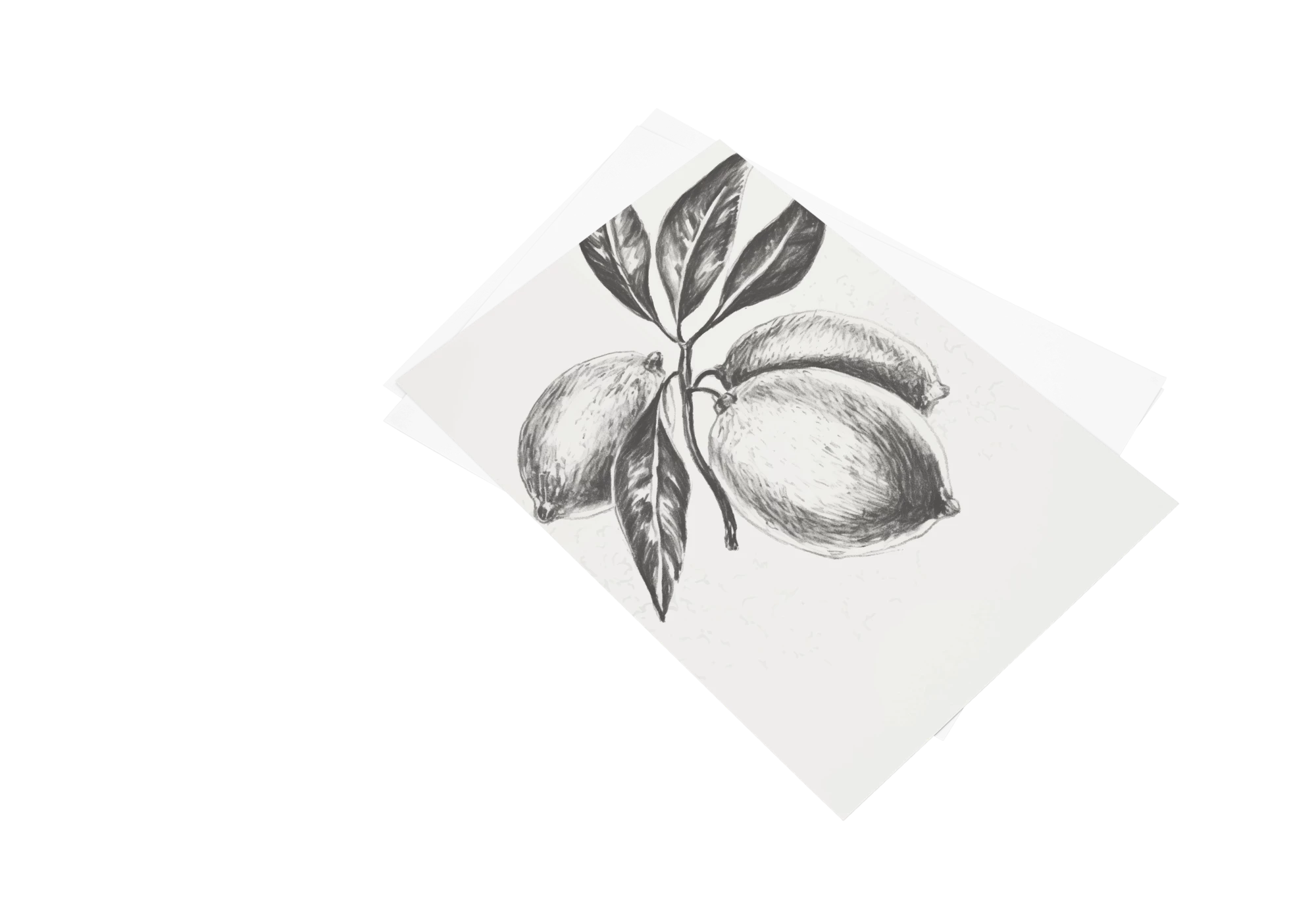 Explorez l'art délicat de la nature avec cette affiche élégante représentant des citrons en dessin noir et blanc. Parfait pour ajouter une touche artistique et fraîcheur à l'intérieur de votre maison. Complétez votre décoration intérieure avec ce cadre stylistiquement captivant.