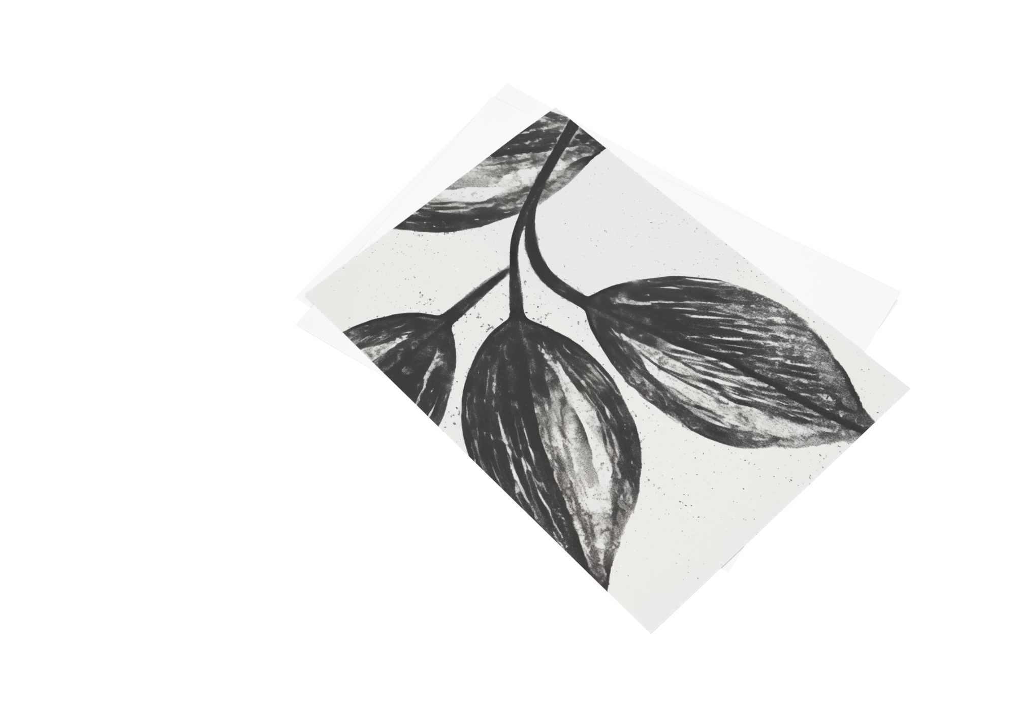 Découvrez des affiches botaniques raffinées pour sublimer votre maison. Ce poster en noir et blanc, encadré avec soin, apporte une touche d'élégance à votre intérieur. Idéal pour les amateurs de décoration sobre mais chic, ce cadre ajoute une dimension artistique à votre espace de vie.