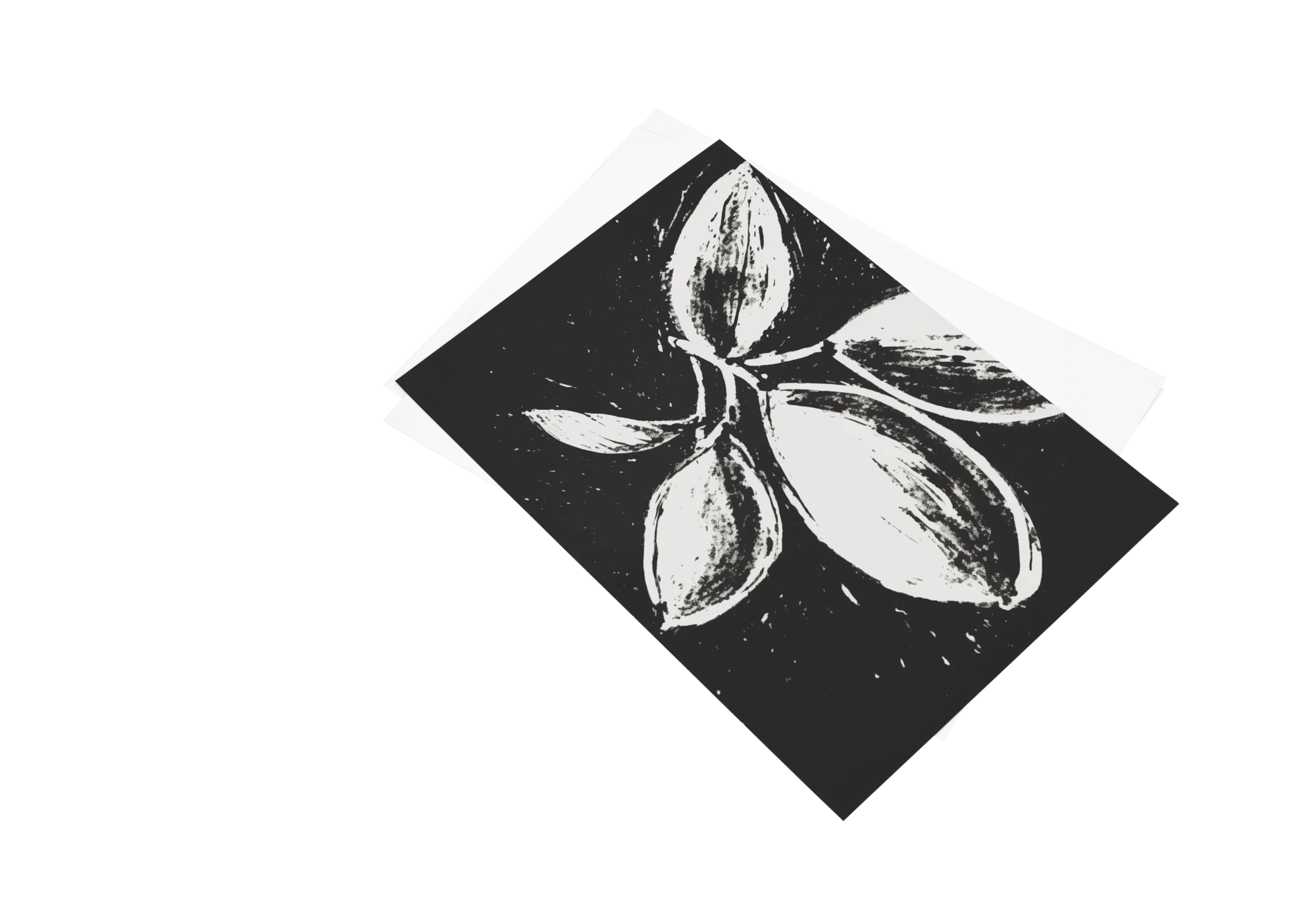 Découvrez cette superbe affiche en noir et blanc, idéale pour sublimer l'intérieur de votre maison. Ce poster artistique, à encadrer avec soin, apportera une touche d'élégance et de modernité à n'importe quelle pièce. Profitez des cadres pour personnaliser votre décoration.