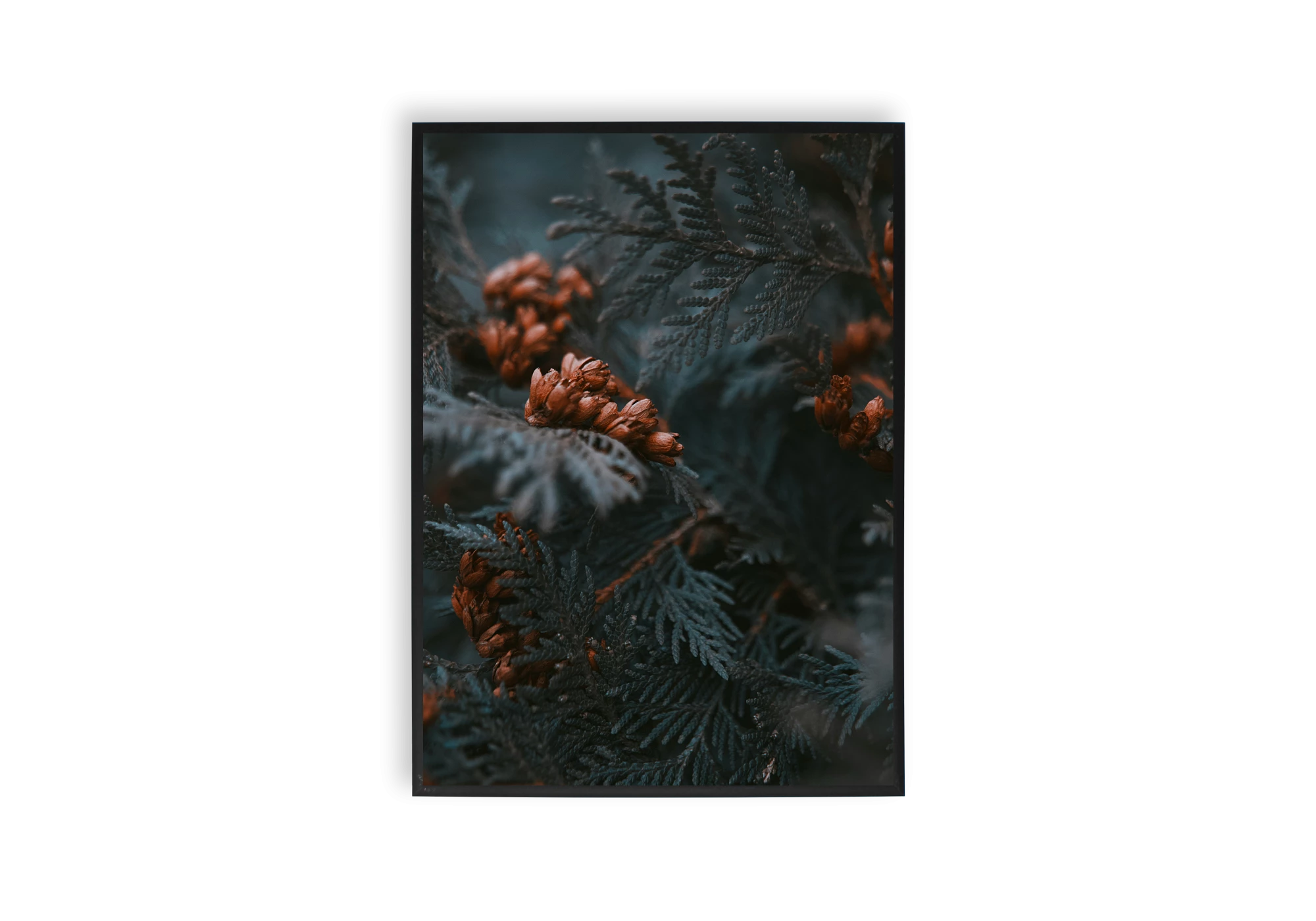 Explorez la beauté de la nature avec cette affiche captivante. Parfaite pour sublimer votre intérieur, ce poster ajoute une touche de fraîcheur à votre maison. Les teintes naturelles et le design botanique apportent élégance et sérénité à tout espace.