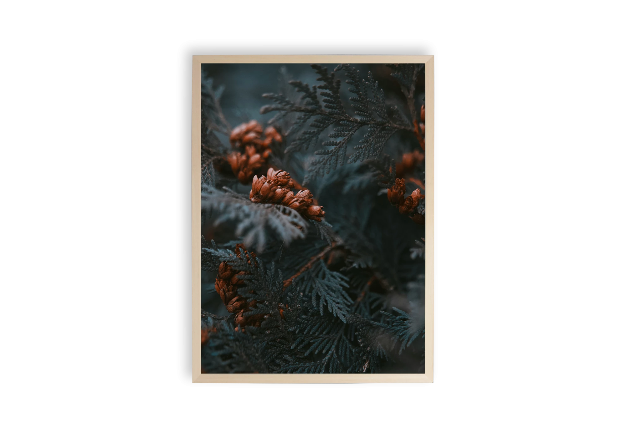 Explorez la sérénité des paysages intérieurs avec ce poster délicatement encadré. Parfait pour ajouter une touche de nature à votre maison, cette affiche s'intègre harmonieusement dans n'importe quel cadre d'intérieur élégant.