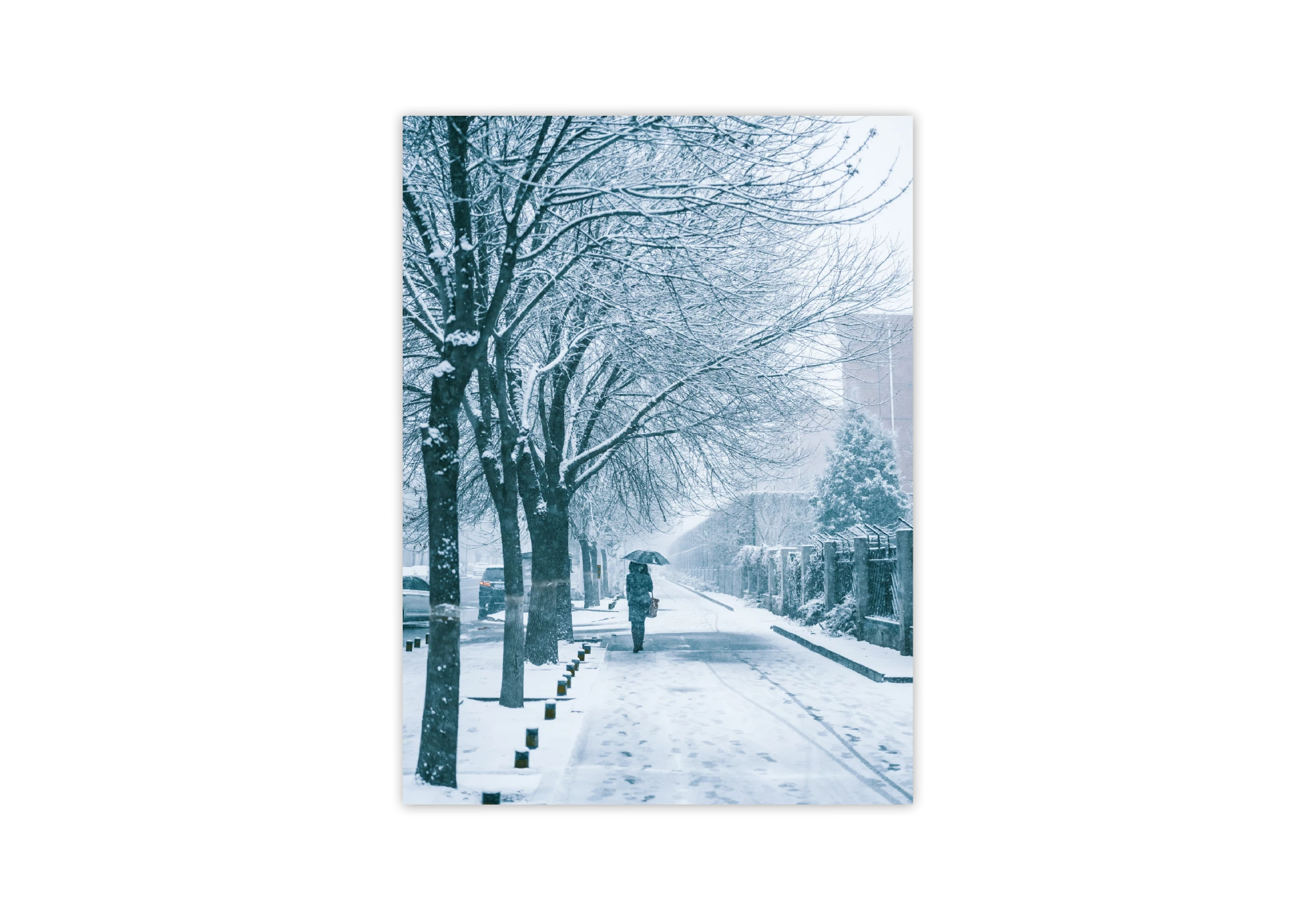 Cette affiche capture l'élégance de l'hiver avec une scène sereine d'une rue enneigée. Parfait pour apporter une touche de tranquillité à votre intérieur, ce poster transforme toute maison en un havre de paix hivernal.
