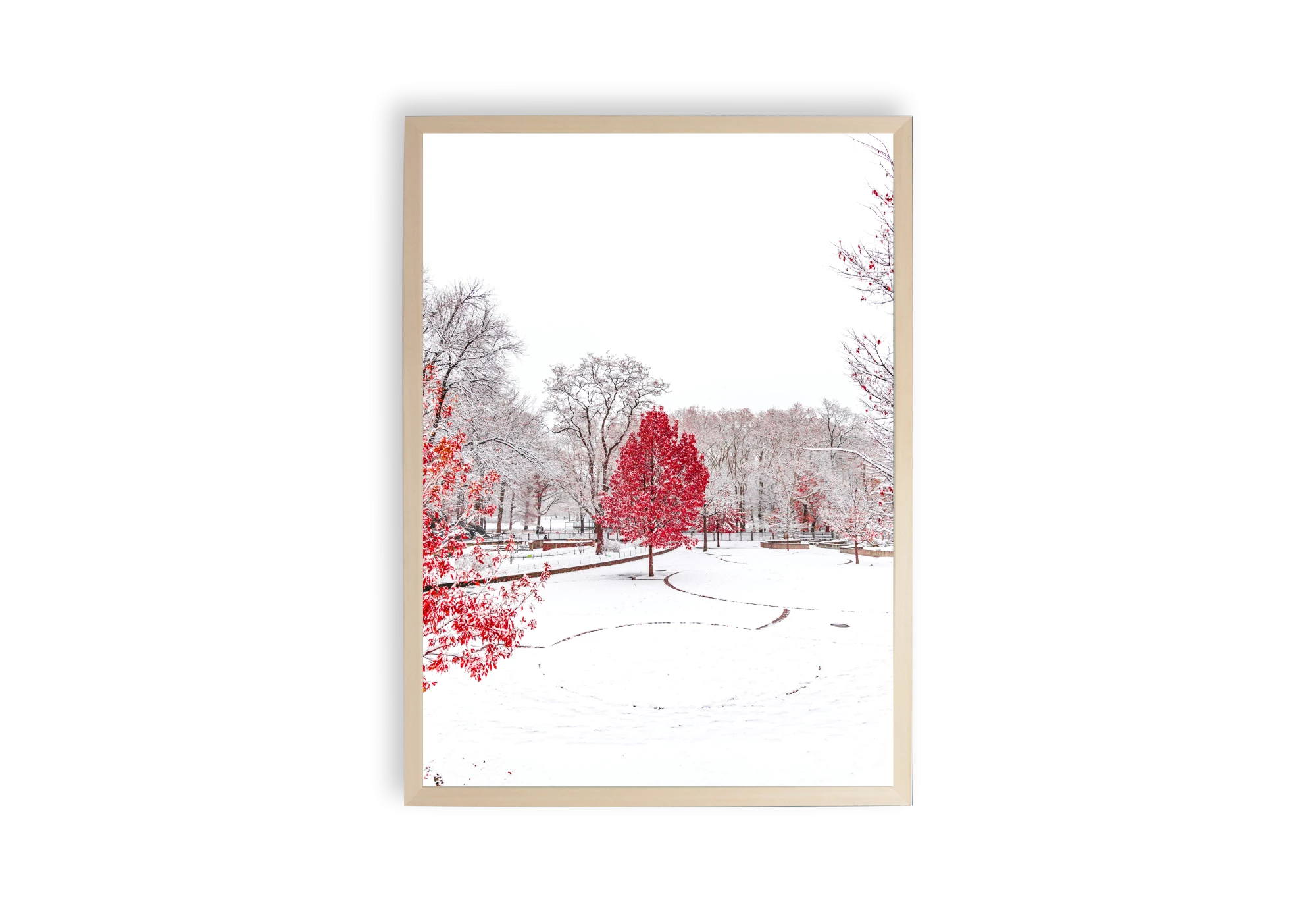 Apportez la magie de l'hiver dans votre maison avec ce poster élégant. Ce spectacle présente une scène de parc enneigé avec des arbres rouges éclatants, ajoutant une touche artistique à votre intérieur. Une pièce parfaite pour les amateurs d'affiches nature.