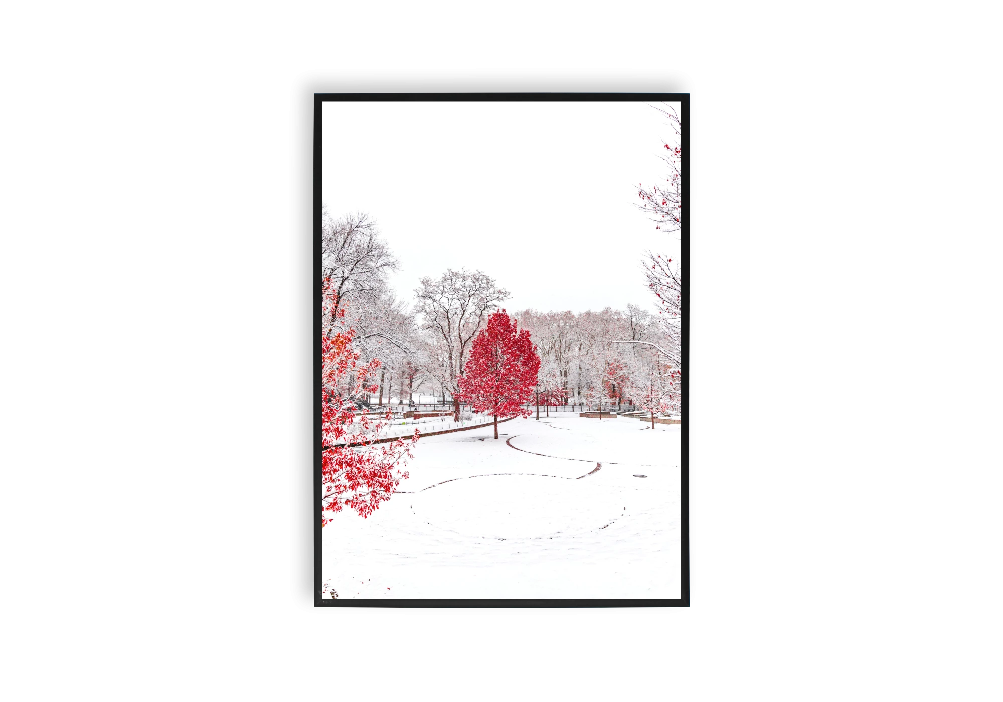 Découvrez cette affiche captivante pour votre intérieur avec un paysage enneigé agrémenté d'arbres rouges éclatants. Un design idéal pour apporter chaleur et style à votre maison. Parfait pour créer une ambiance apaisante et élégante.