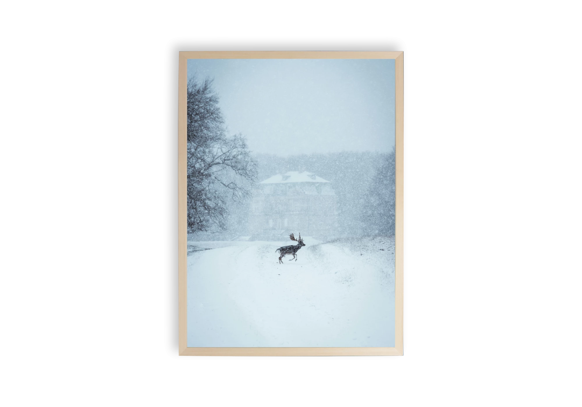 Ajoutez une touche paisible à votre intérieur avec ce poster captivant. Affiche raffinée, image d'une maison enneigée et un cerf enhardi par la neige. Parfait pour les amateurs d'affiches artistiques et de décors chaleureux.
