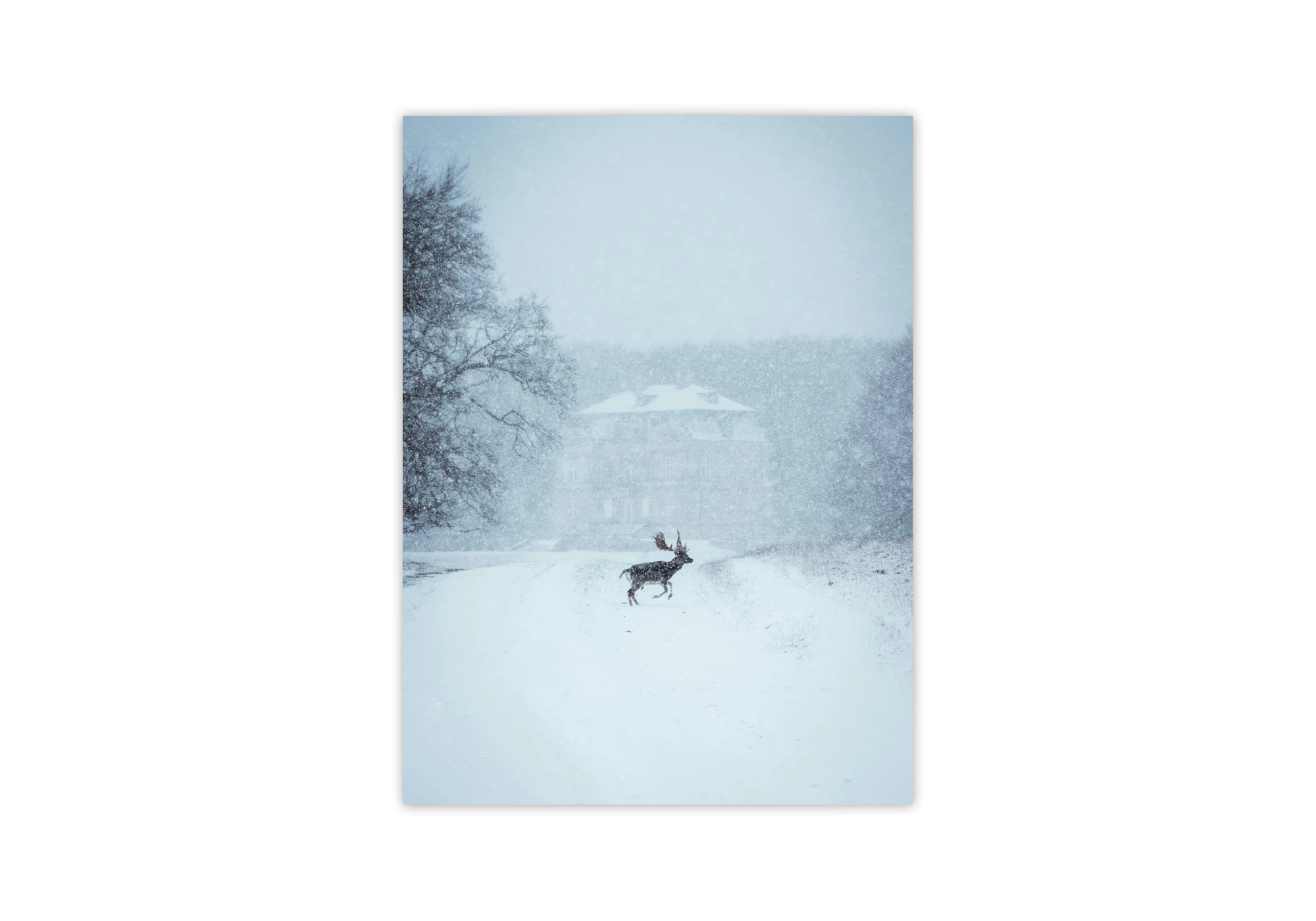 Cette affiche captivante présente un cerf solitaire dans un paysage enneigé, avec une maison en arrière-plan. Idéale pour un cadre qui apporte paix et élégance à votre intérieur, elle s'intègre parfaitement dans une collection d'affiches naturelles ou de design moderne.