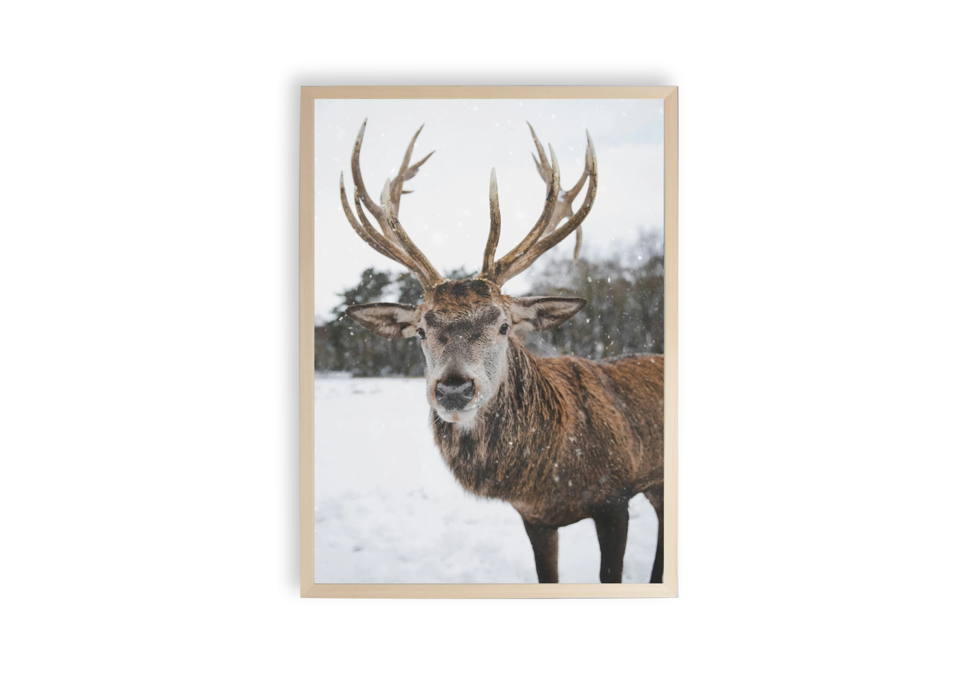 Découvrez le charme naturel avec cette affiche de renne en hiver, idéale pour sublimer l'intérieur de votre maison. Encadrée élégamment, elle apporte une touche de nature et de sérénité à votre espace. Parfait pour les amateurs de décoration intérieure recherchant une ambiance apaisante.