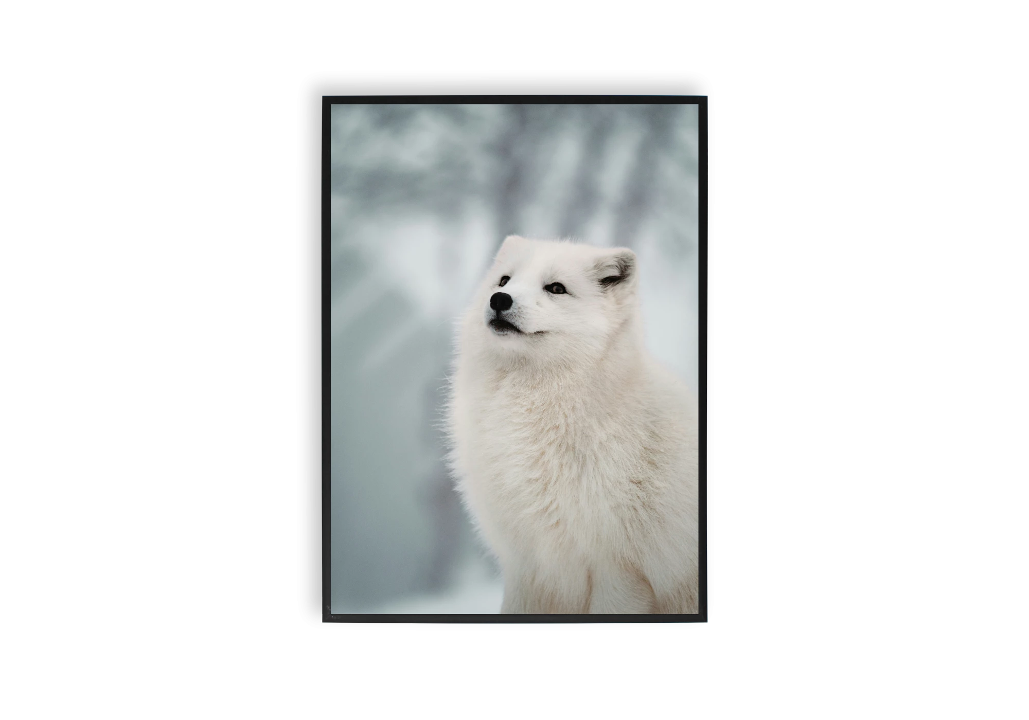 Découvrez cette magnifique affiche de renard polaire, parfaite pour ajouter une touche de nature à votre intérieur. Encadrée avec soin, elle s'intègrera facilement dans toutes les maisons, apportant élégance et sérénité.