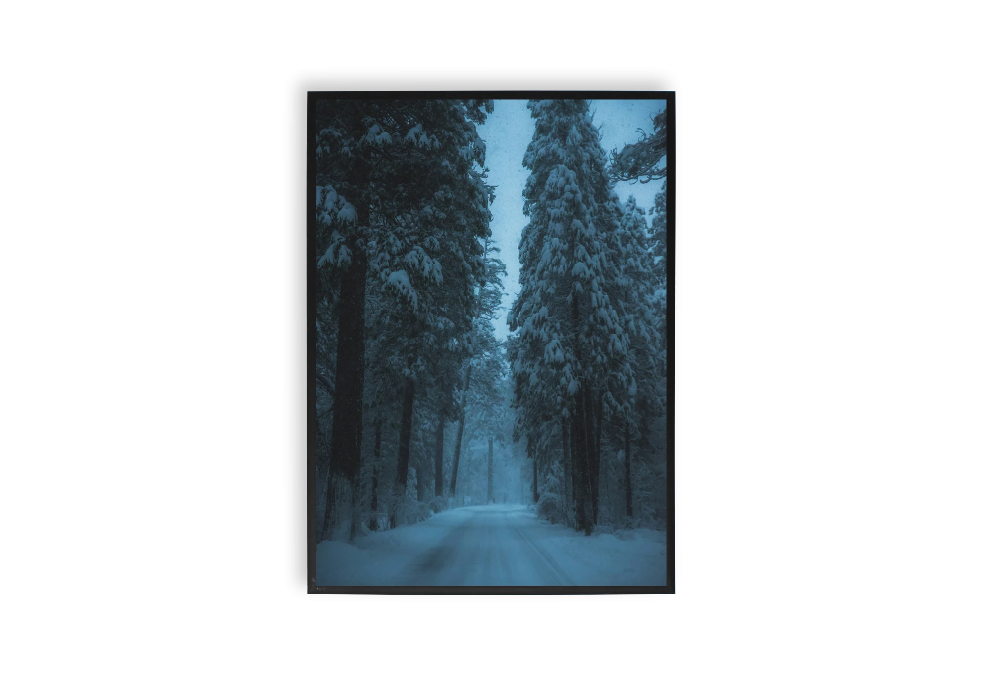 Ajoutez une touche de sérénité hivernale à votre intérieur avec cette affiche captivante de forêt enneigée. Son design élégant s'intègre parfaitement dans n'importe quelle maison, transformant vos murs en une escapade paisible et naturelle.