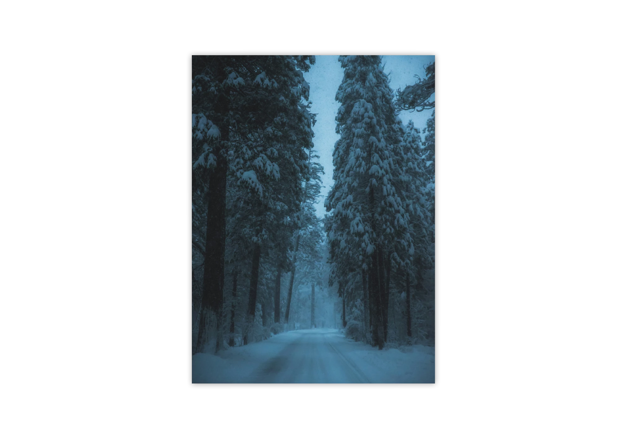 Plongez dans l'atmosphère apaisante de cette affiche captivante, mettant en scène un chemin enneigé bordé de sapins. Idéale pour votre maison, ce poster ajoutera une touche de sérénité à votre intérieur, inspirant calme et tranquillité à travers ses nuances hivernales.