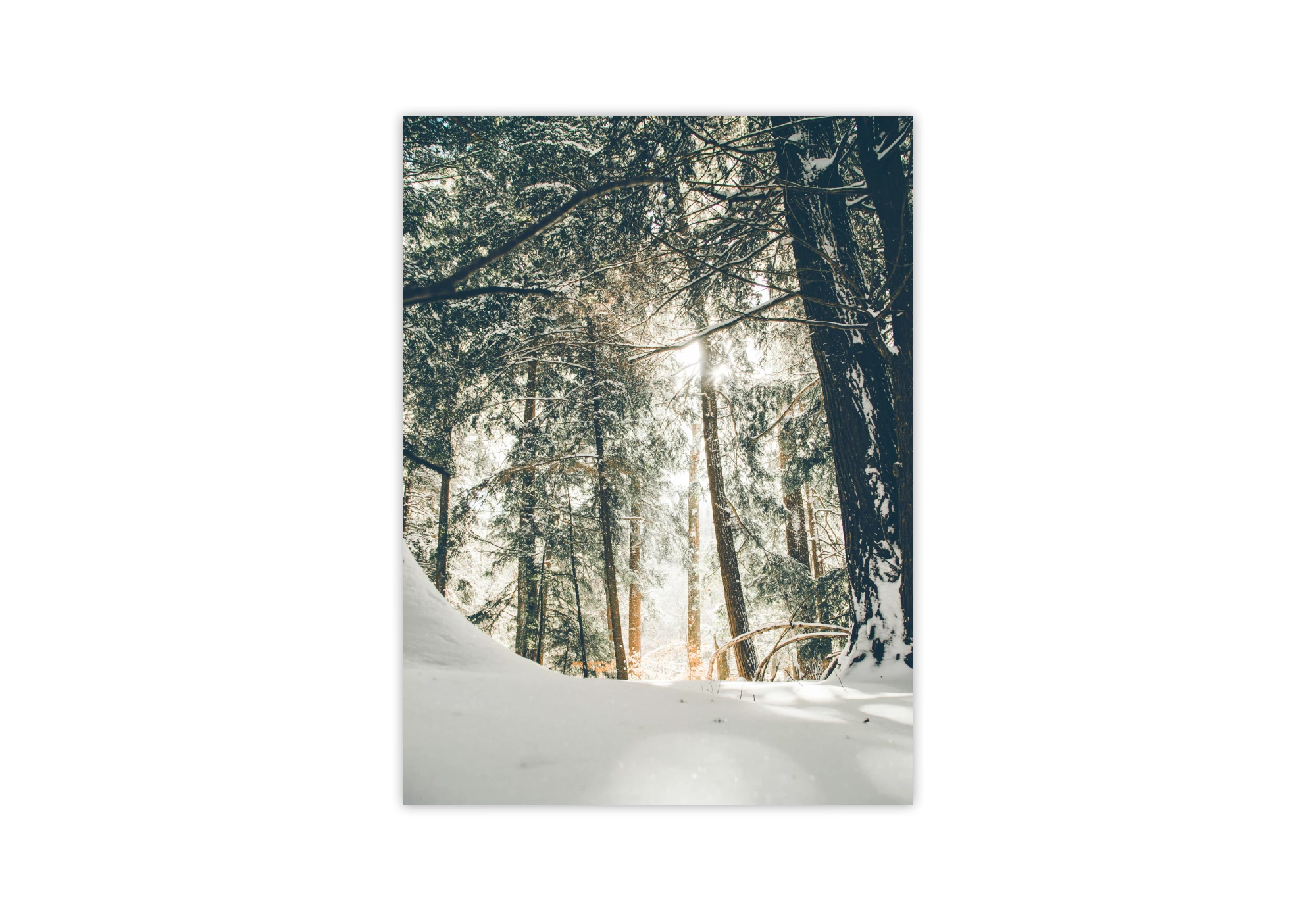 Créez un coin de tranquillité dans votre maison avec ce poster de forêt enneigée. Parfait pour un intérieur naturel, il s'intègre harmonieusement dans tout espace. Ajoutez une touche de sérénité à vos murs avec cette affiche élégante, idéale pour les amateurs de nature.