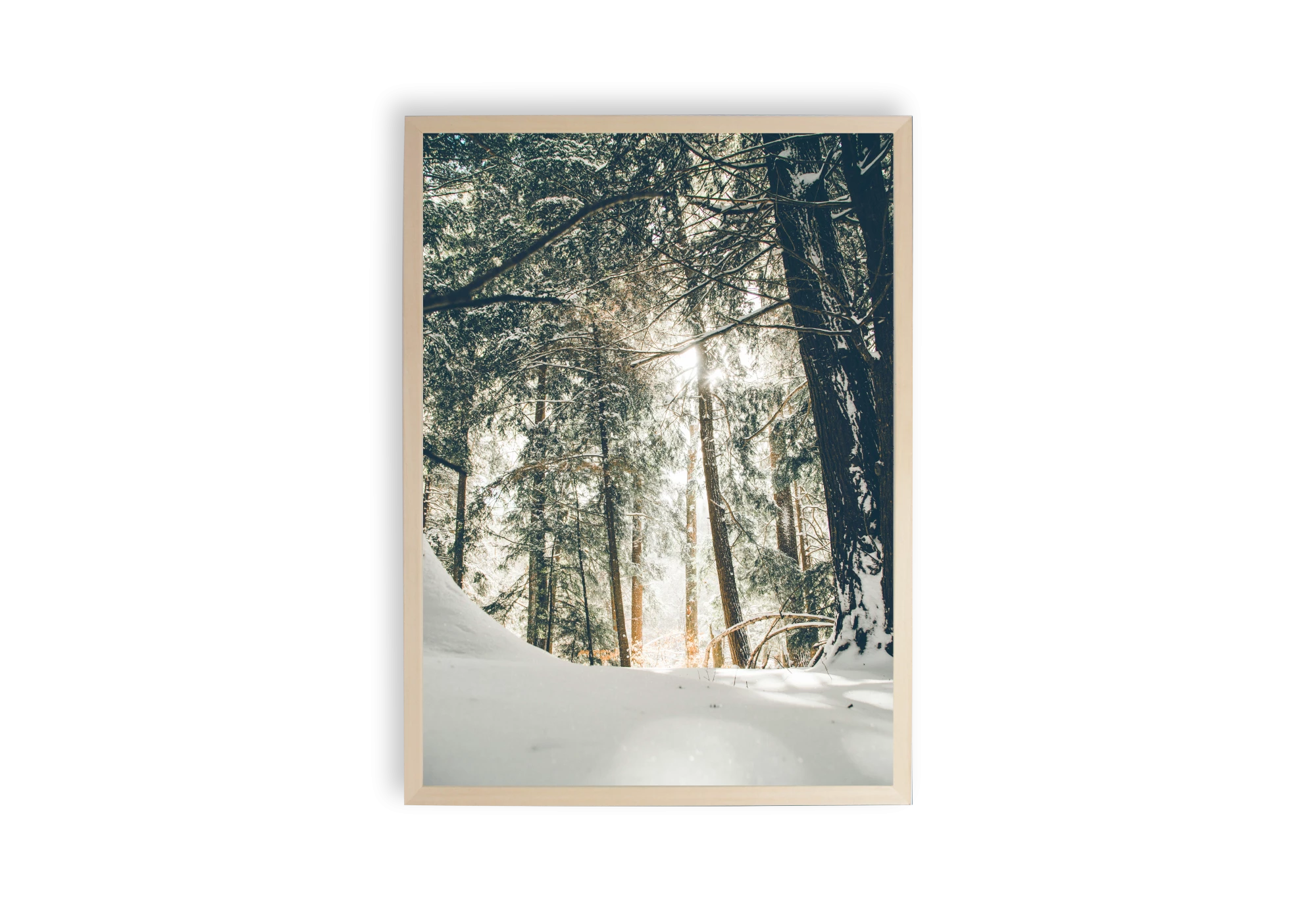 Explorez la beauté apaisante d'une forêt enneigée avec cette affiche captivante. Idéale pour sublimer votre intérieur, elle apporte une touche naturelle et élégante à votre maison. Encadrée avec soin, elle deviendra l'élément central de votre décoration.