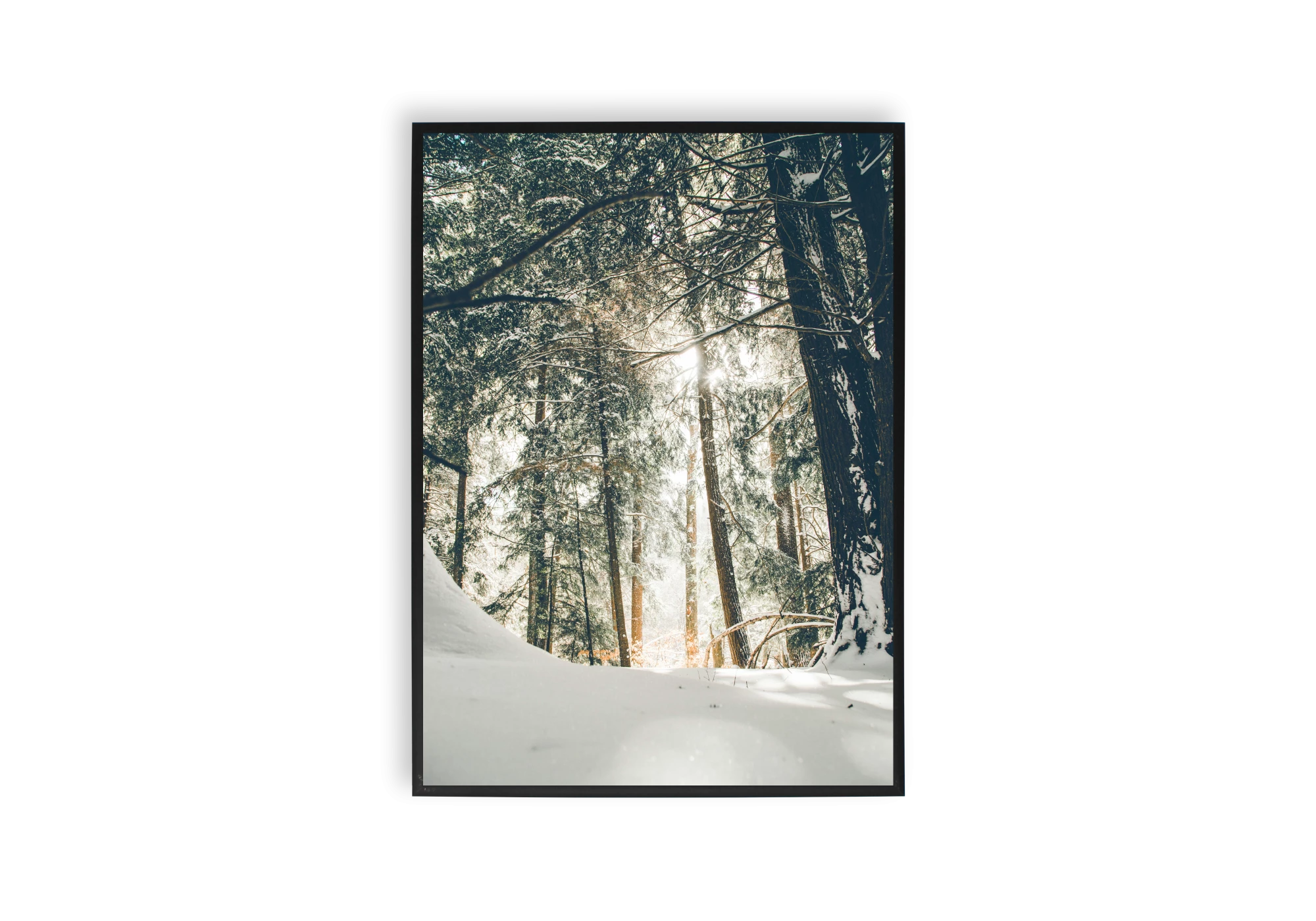 Ce poster captivant transforme l'intérieur de votre maison avec une scène sereine de forêt enneigée. Idéal pour les amateurs de nature, il s'intègre harmonieusement dans votre espace, créant une atmosphère apaisante avec des affiches inspirantes.