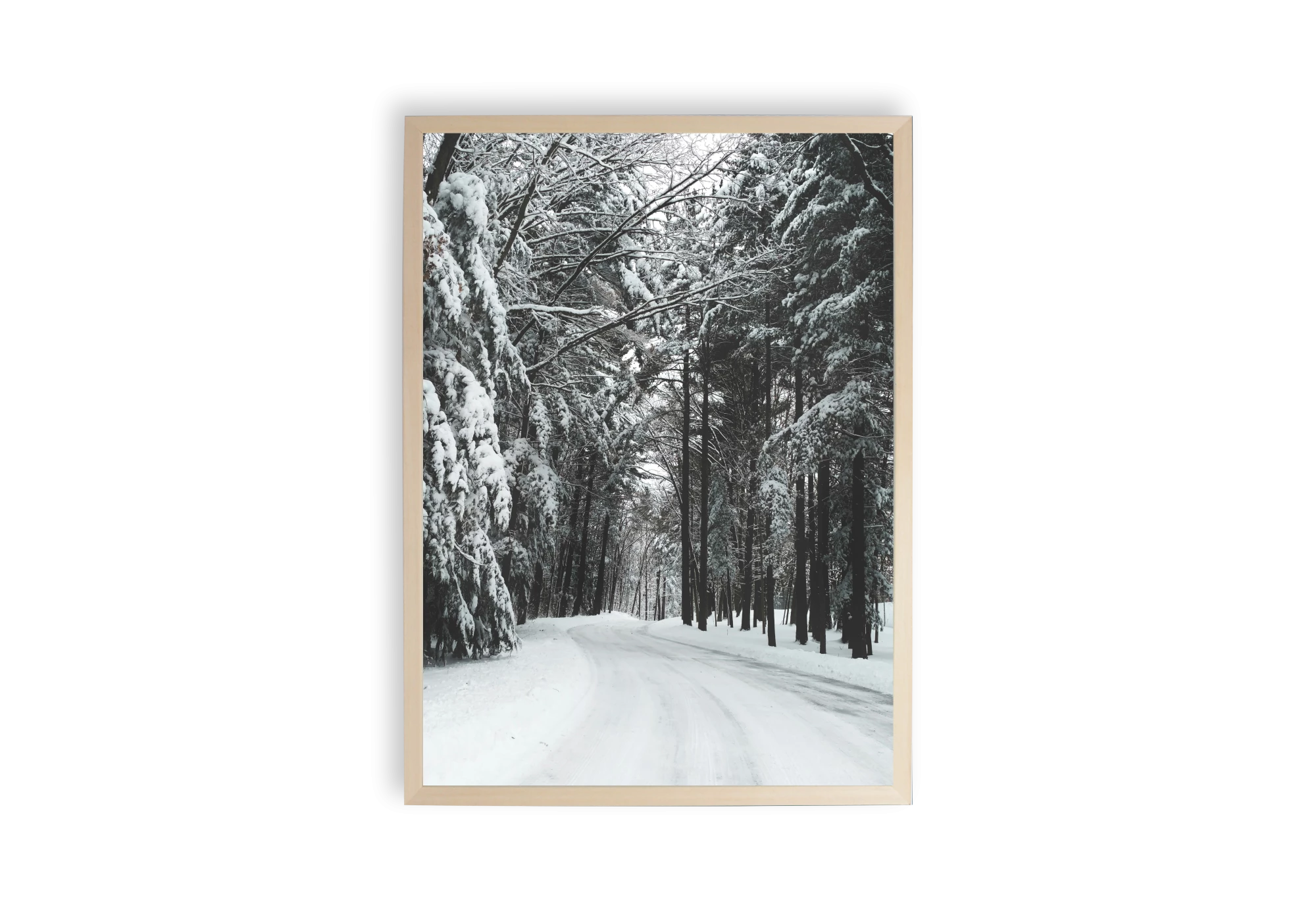 Ce poster enchanteur capture la beauté paisible d'une forêt hivernale. Il s'intègre harmonieusement dans tout intérieur de maison. Idéal pour ceux qui recherchent des affiches sophistiquées pour créer une atmosphère sereine et naturelle chez eux.