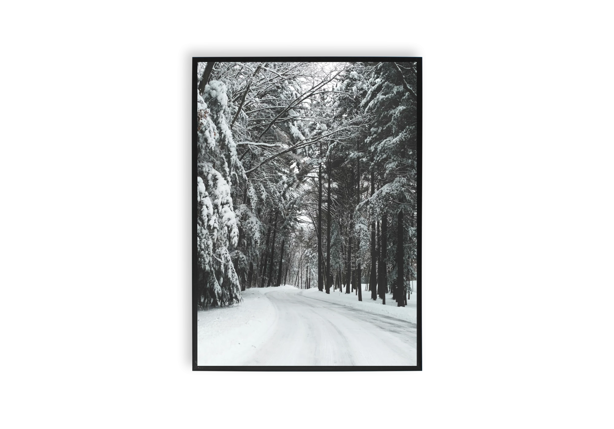 Apportez une touche de sérénité à votre maison avec ce poster représentant une route enneigée entourée de majestueux arbres. Cette affiche élégante s’intègre parfaitement dans votre intérieur, enrichissant votre collection d'affiches artistiques.