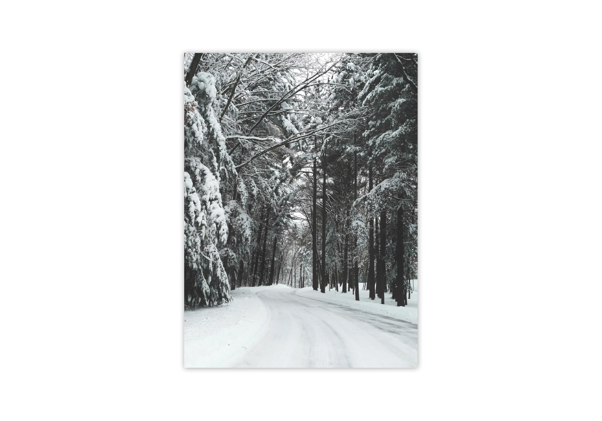 Plongez dans la sérénité hivernale avec cette image captivante d'une route bordée de sapins enneigés. Parfaite pour apporter une touche de nature et de tranquillité à l'intérieur de votre maison. Cet élégant poster s'intègre harmonieusement dans tous les styles d'intérieurs.