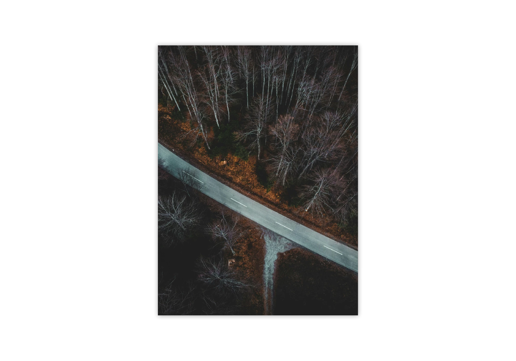 Transformez votre maison avec ce poster captivant d'une route serpentant à travers une forêt mystérieuse. Son cadre élégant et ses détails subtils apportent une touche de nature et de sérénité à votre intérieur. Idéal pour les amateurs d'affiches uniques et de décoration chaleureuse.