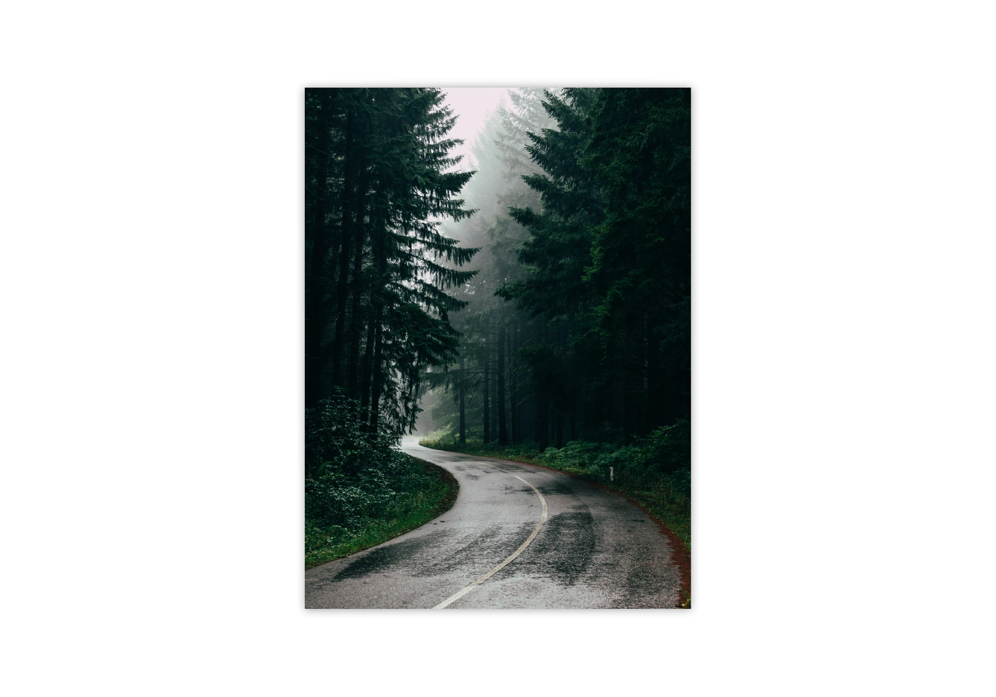 Cette affiche encadrée transforme l'intérieur de votre maison avec une scène sereine de route sinueuse à travers une forêt brumeuse. Parfaite pour les amateurs de nature, elle ajoute une touche de tranquillité et de mystère à tout espace intérieur.
