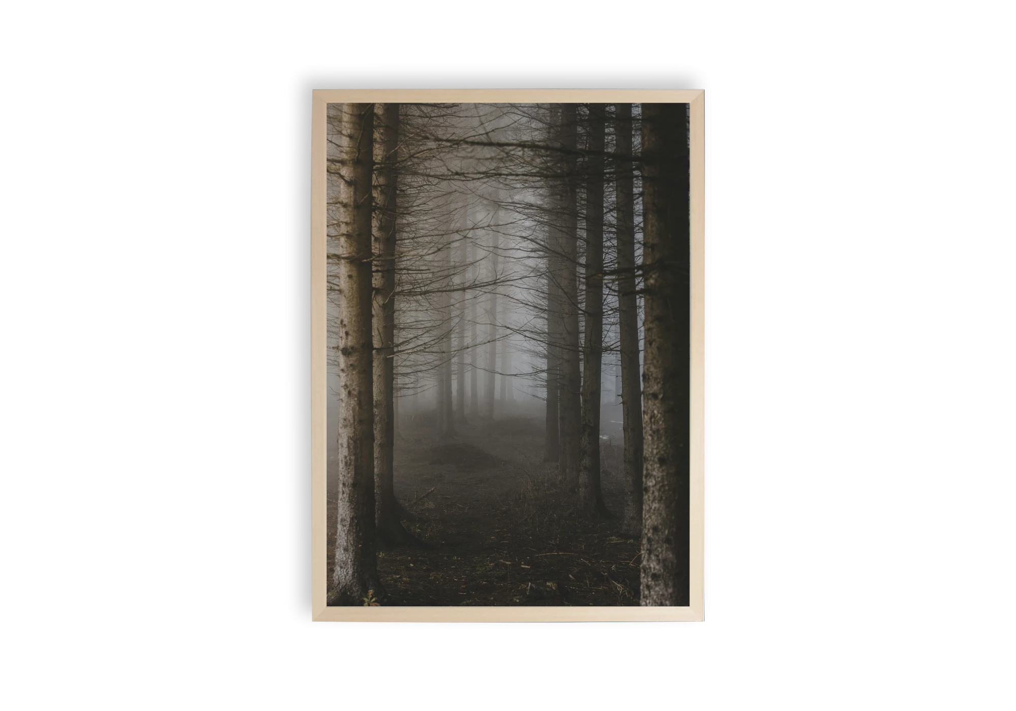 Cadre élégant pour orner l'intérieur de votre maison. Ce poster capturant une forêt brumeuse ajoute une touche apaisante et mystérieuse à votre décor. Idéal pour les amateurs d'affiches esthétiques et de nature, sublimant chaque espace avec son allure sereine.