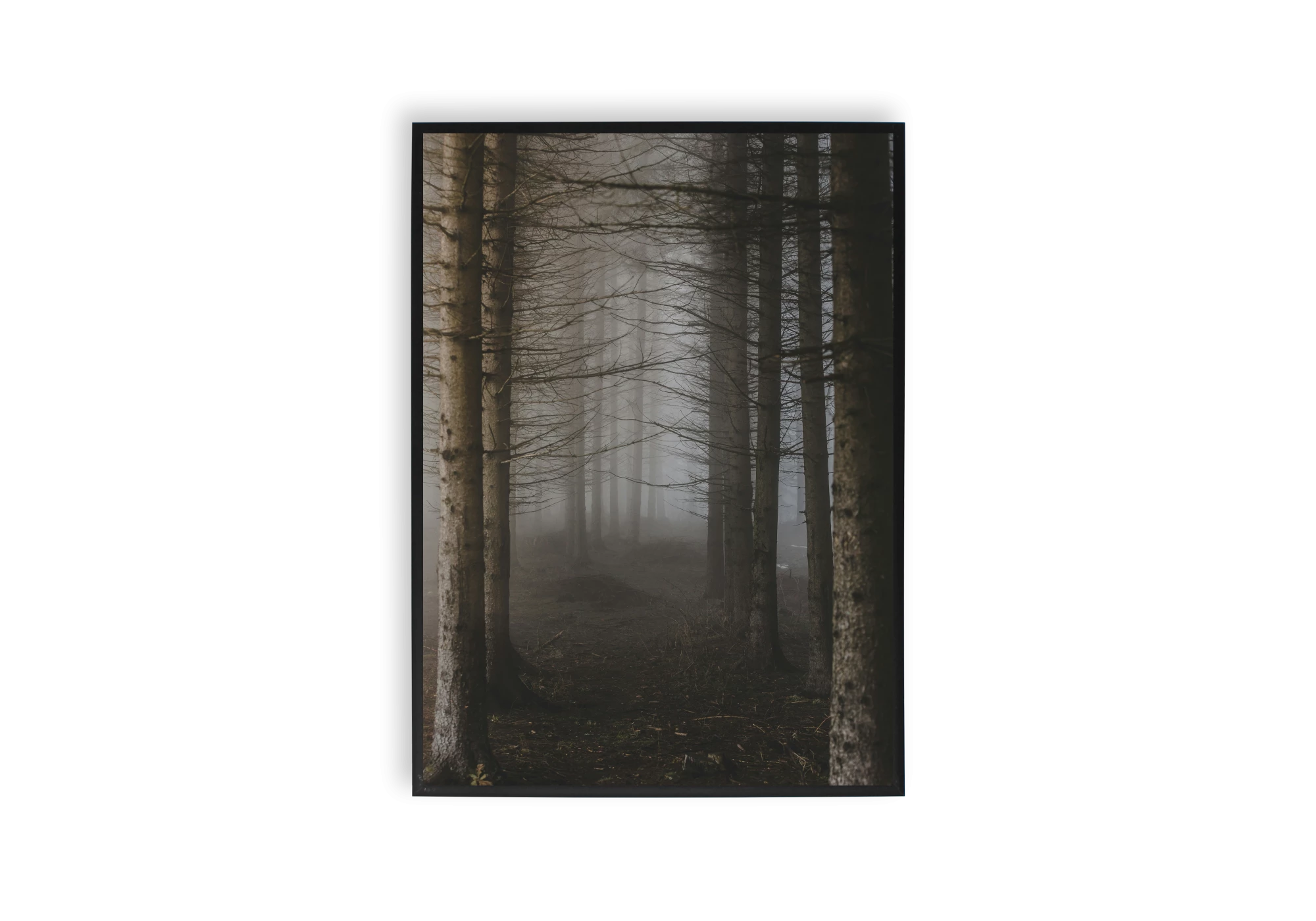 Explorez la beauté énigmatique de la nature avec ce poster de forêt brumeuse. Parfait pour l'intérieur de votre maison, ce cadre apporte une touche apaisante et mystérieuse à vos murs. Utilisez-le pour enrichir votre collection d'affiches et créer une ambiance captivante.