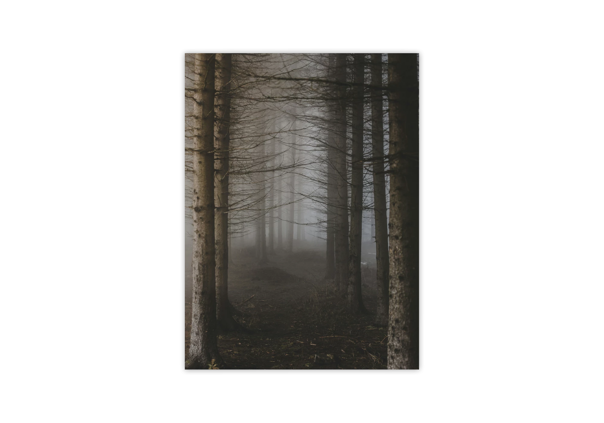 Ce poster captivant de forêt brumeuse est idéal pour décorer l'intérieur de votre maison. Encadré avec élégance, il donnera une touche mystique à vos pièces. Parfait pour ceux qui aiment les affiches inspirantes et envoûtantes, ajoutant une atmosphère sereine à votre espace.