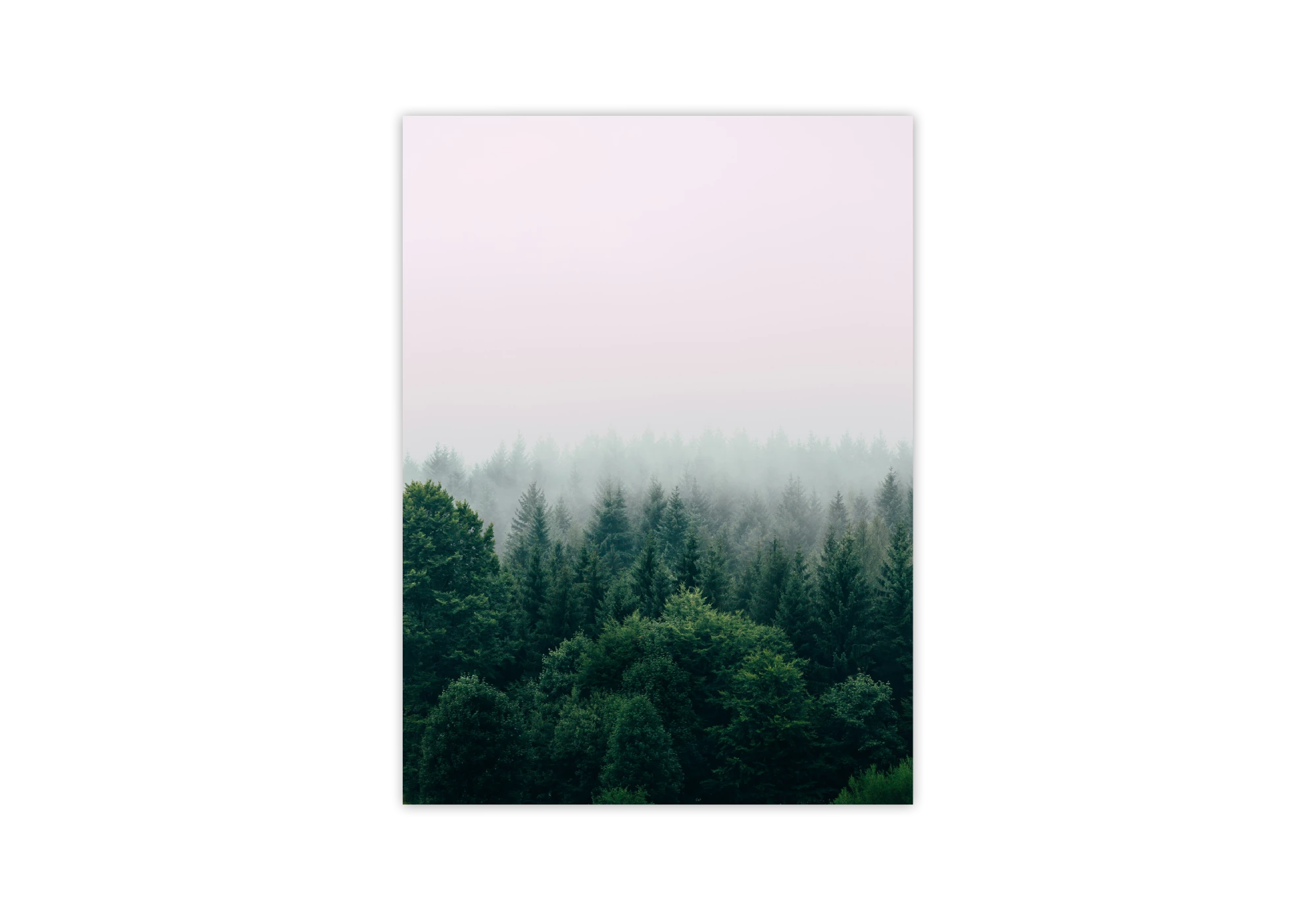 Cette affiche illustre une forêt embrumée, parfaite pour apporter une touche de sérénité à votre intérieur. Encadrée avec soin, elle s'intègre harmonieusement dans votre maison, offrant un visuel reposant et rafraîchissant. Idéale pour les amateurs de paysages naturels.