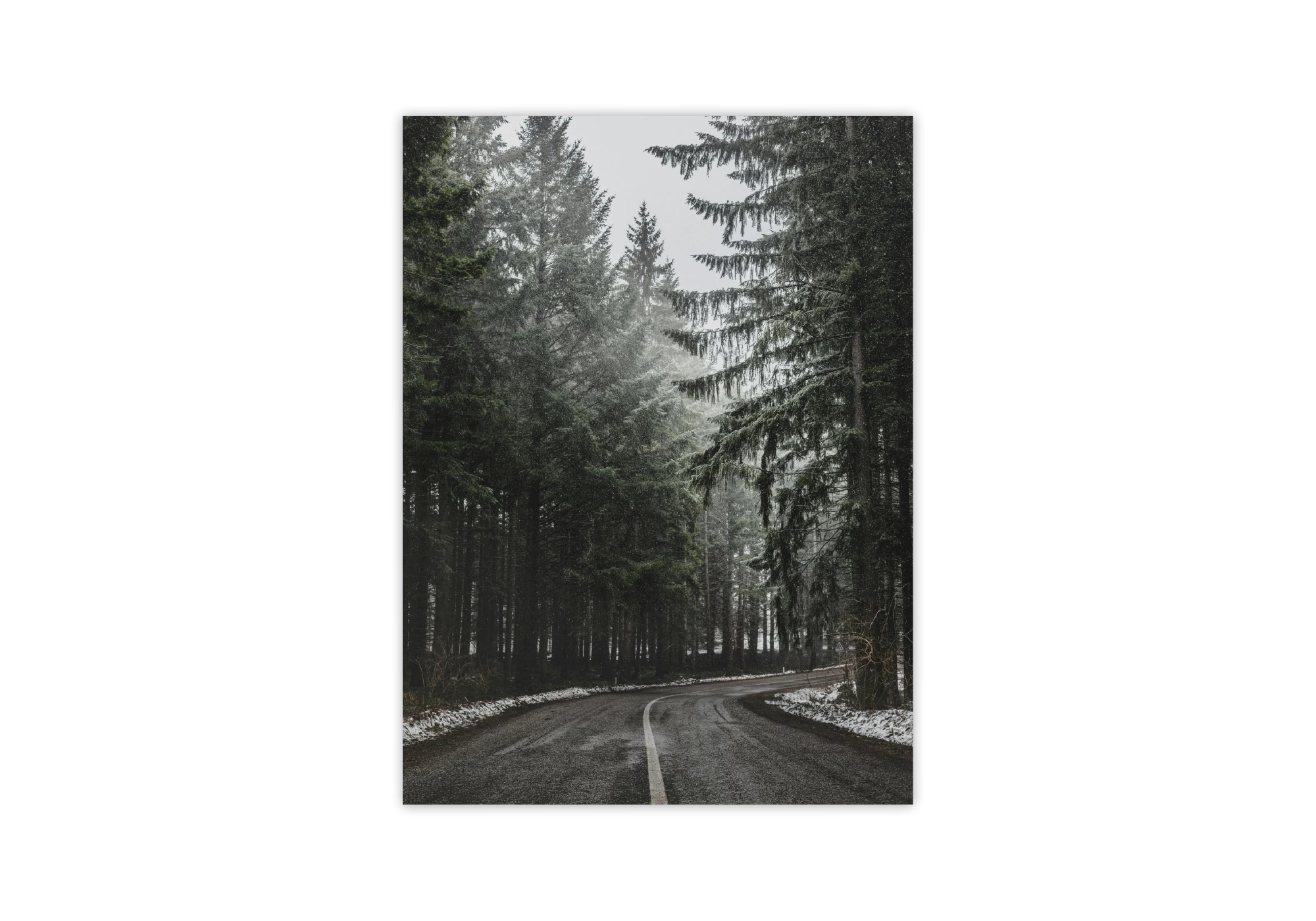Ajoutez une touche de sérénité à votre intérieur avec ce poster captivant. Cadre élégamment une route sinueuse entourée de majestueux sapins couverts de neige. Parfait pour des affiches décoratives de maison.