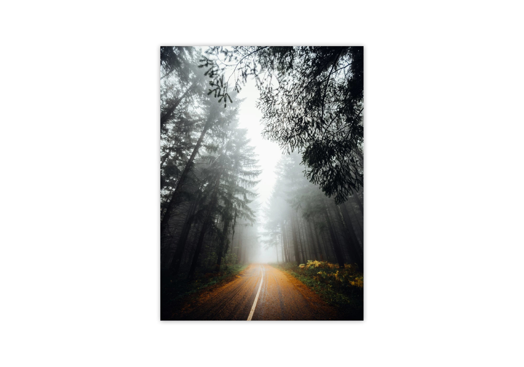 Ce poster encadré présente un chemin mystérieux à travers une forêt brumeuse, idéal pour décorer votre intérieur. L'image capturée évoque un sentiment d'évasion, ajoutant une touche naturelle et apaisante à votre maison. Un choix parfait parmi nos affiches.