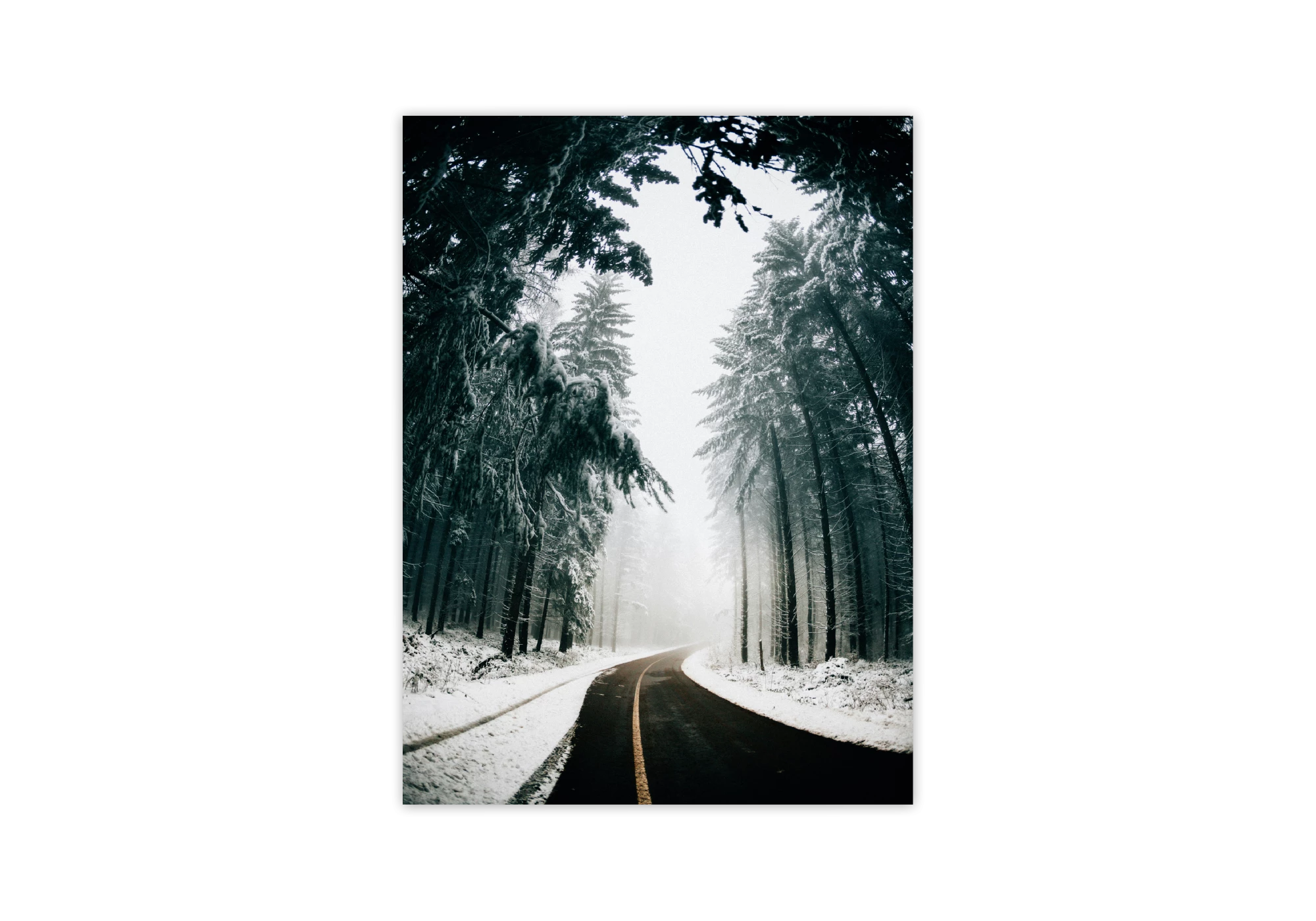 Cette affiche capture une route sinueuse à travers une forêt enneigée, parfaite pour embellir l'intérieur de votre maison. Le cadre élégant met en valeur le contraste entre les arbres sombres et le sol blanc, apportant une touche de sérénité et d'évasion à votre espace de vie.