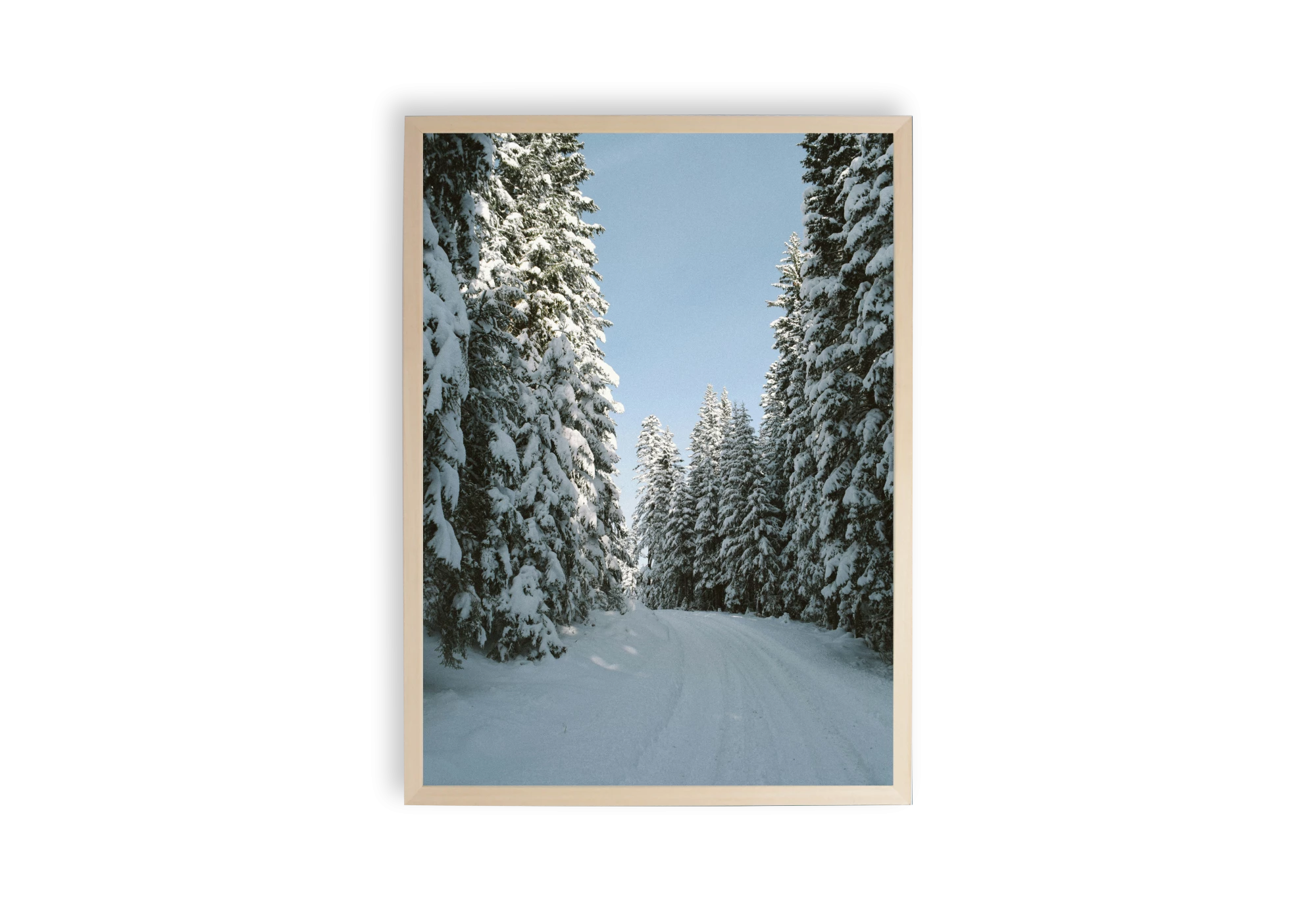 Plongez dans la sérénité de l'hiver avec ce poster captivant. Un chemin enneigé bordé d'arbres majestueux évoque la tranquillité et s'intègre parfaitement à votre intérieur. Idéal pour ajouter une touche naturelle à votre maison, encadré pour un effet élégant et apaisant.
