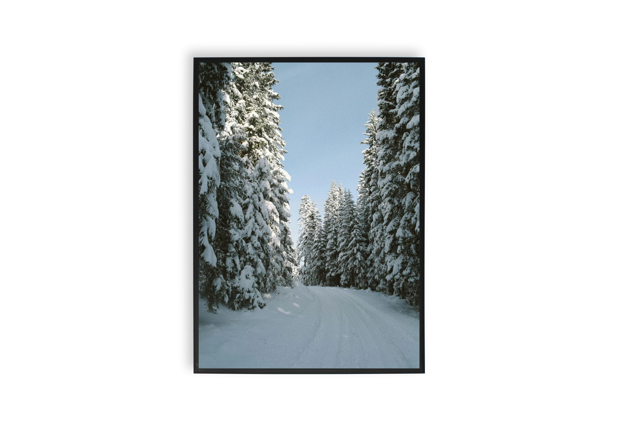 Découvrez la sérénité de l'hiver avec ce poster encadré. Parfait pour ajouter une touche d'élégance à votre maison, il transforme n'importe quel intérieur avec des arbres enneigés et un ciel bleu éclatant. Idéal pour les amateurs d'affiches et de décoration chaleureuse.