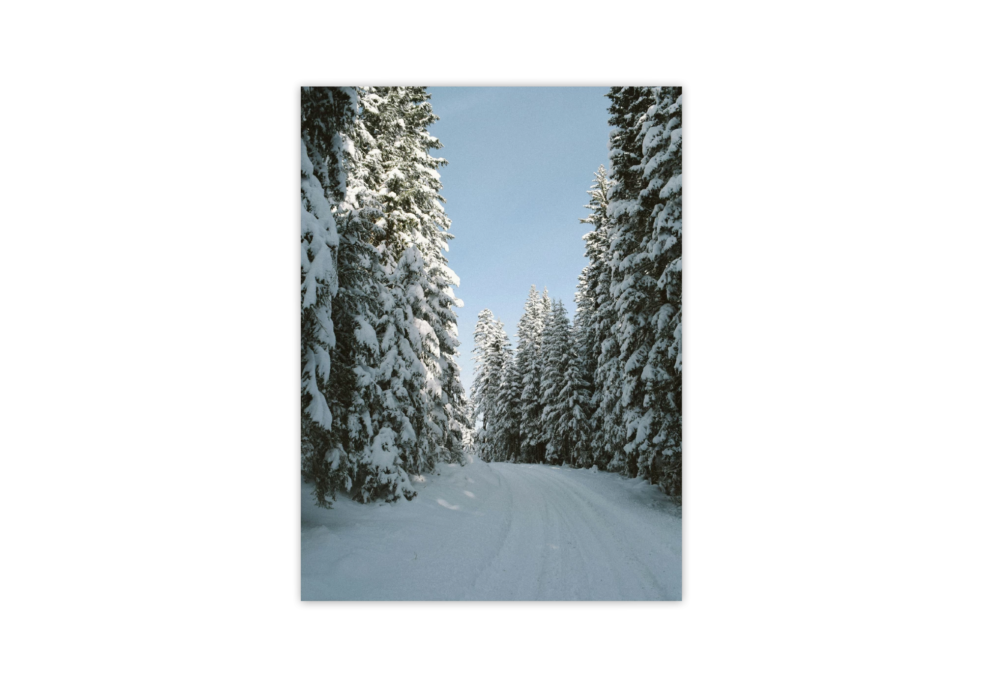 Ajoutez une touche apaisante à votre intérieur avec ce poster captivant de forêt enneigée. Ce cadre élégant s'intègre parfaitement dans votre maison, évoquant la tranquillité des paysages d'hiver. Idéal pour les amoureux de la nature et de la décoration épurée.