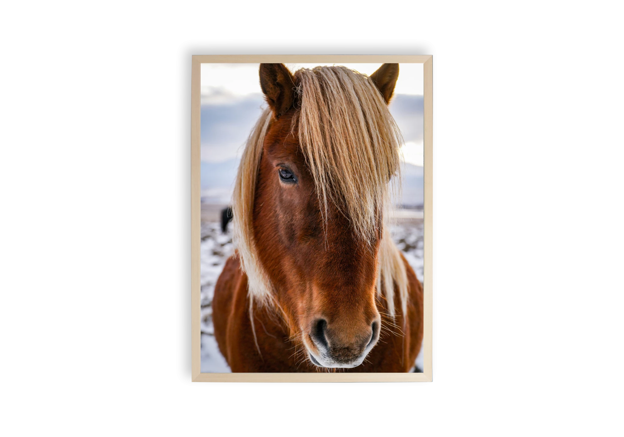 Admirez la grâce d'un cheval majestueux avec cette affiche encadrée. Idéale pour égayer votre intérieur et donner du caractère à votre maison, ce poster amène une touche naturelle et élégante. Parfait pour les amateurs d'affiches d'intérieur recherchant une décoration unique.