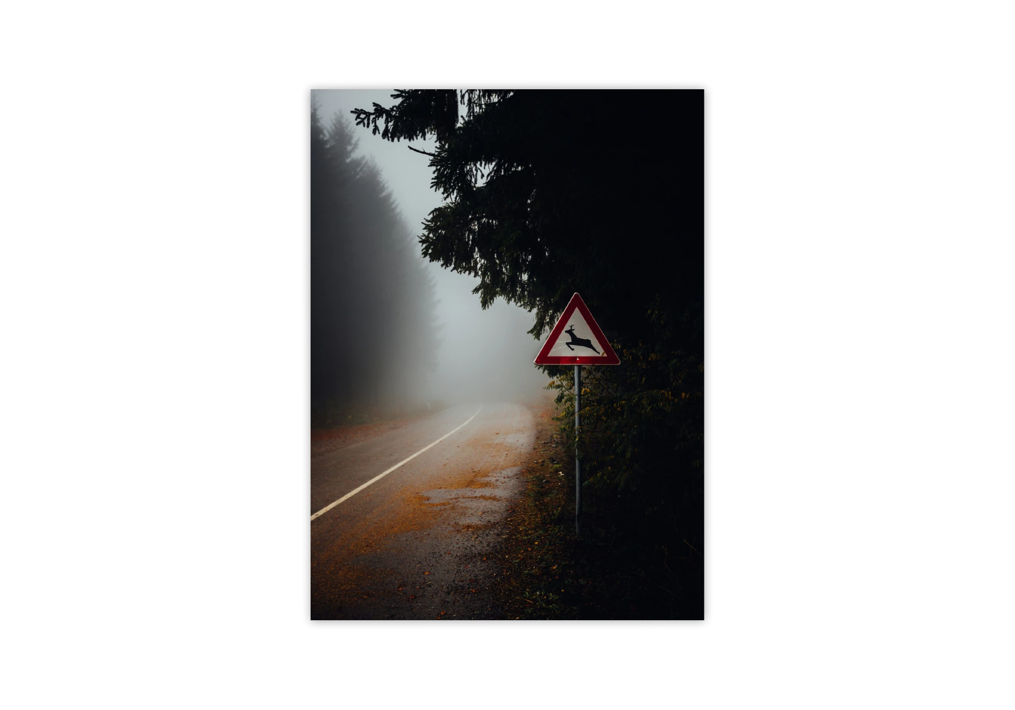 Découvrez une affiche captivante représentant une route brumeuse bordée de forêts épaisses. Idéale pour ajouter une touche de mystère et de sérénité à votre intérieur. Ce cadre décoratif enrichira les affiches de votre maison avec une ambiance naturelle et paisible.