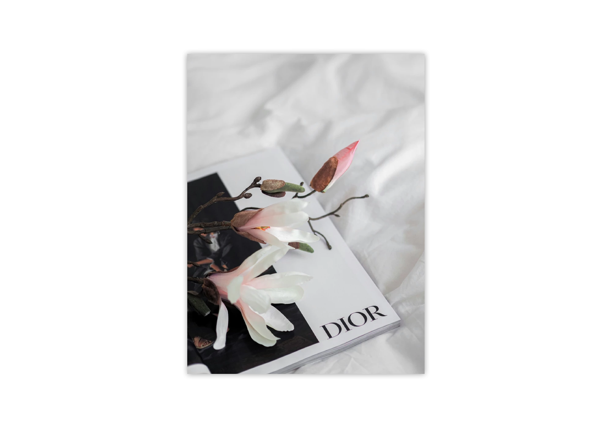Affiche moderne pour maison, mettant en valeur un style intérieur raffiné. Un cadre subtil entourant une composition artistique de fleurs magnolia et d'un livre, ajoutant une touche de classe. Parfait pour embellir votre espace de vie avec élégance et modernité.