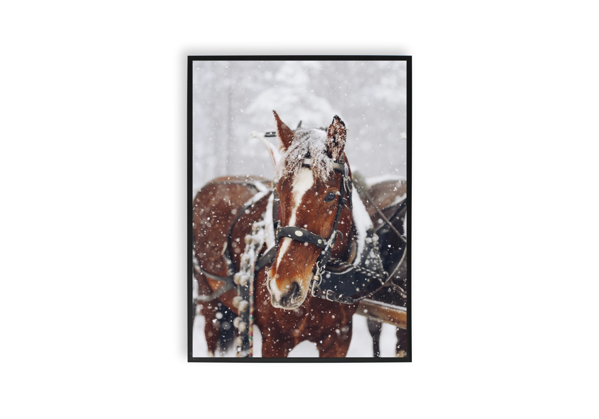 Découvrez cette affiche unique pour votre maison, idéale pour ajouter une touche d'hiver à votre intérieur. Ce poster encadré présente un cheval sous la neige, capturant la beauté et la chaleur d'un moment hivernal. Parfait pour enrichir votre collection d'affiches.
