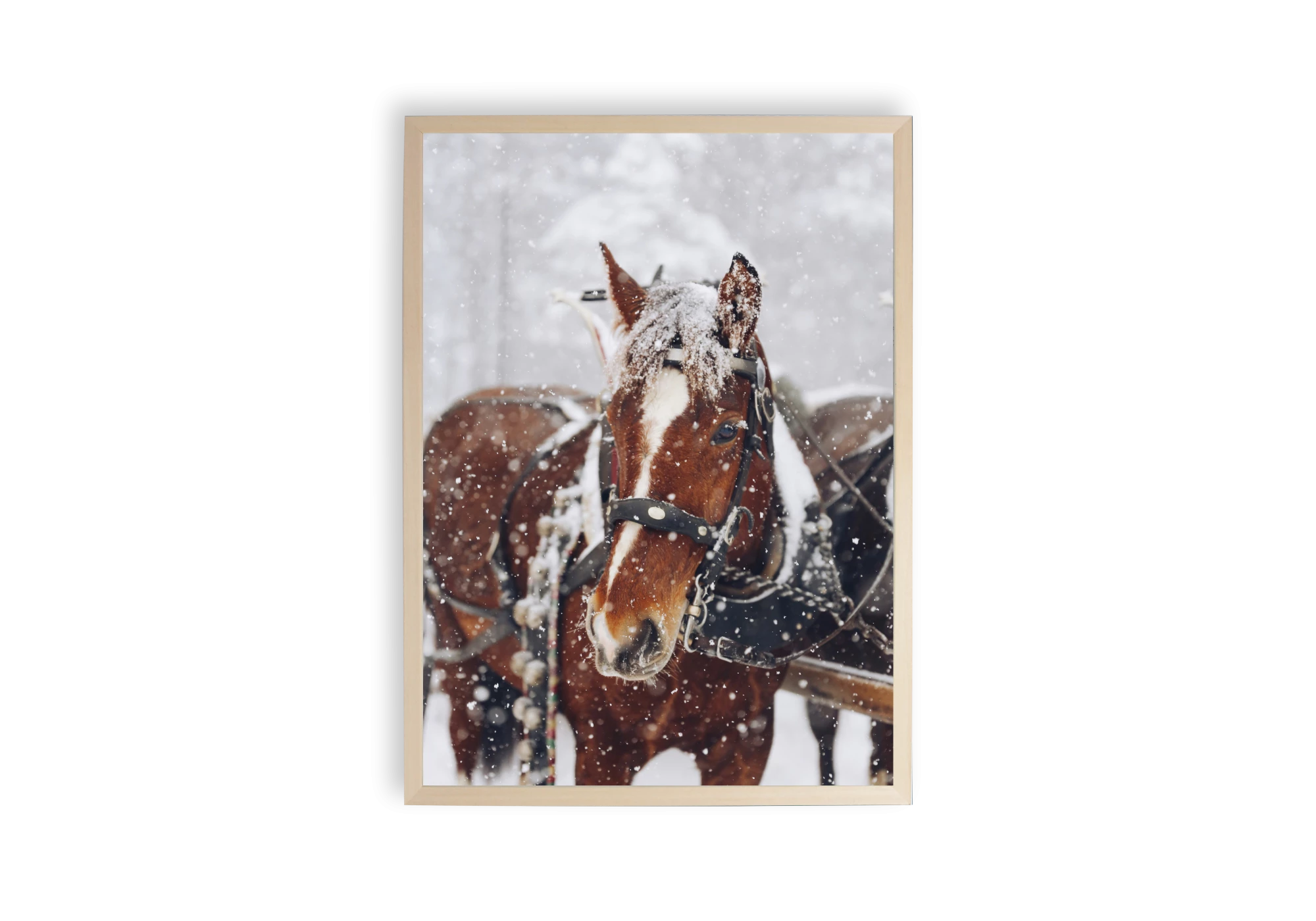 Cette affiche captivante présente un cheval majestueux sous la neige, parfait pour apporter une touche chaleureuse et élégante à votre intérieur. Idéal pour décorer votre maison avec raffinement, ce poster encadré met en valeur la beauté naturelle en toute simplicité.