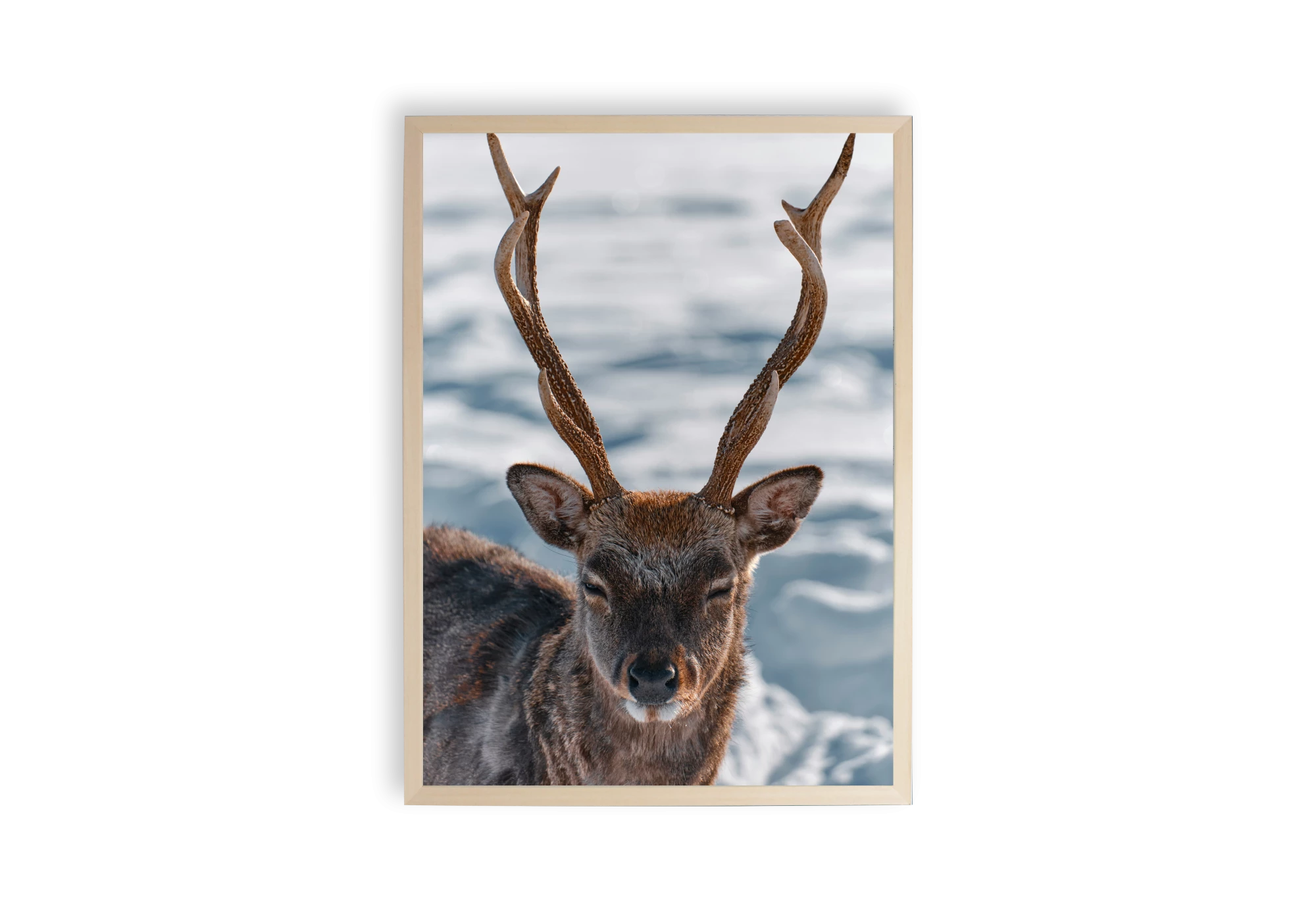 Sublimez votre intérieur avec cette affiche d'un cerf majestueux en hiver. Encadrée avec soin, cette pièce unique apportera une touche élégante et naturelle à votre maison. Parfaite pour les amoureux de la faune et des paysages apaisants.