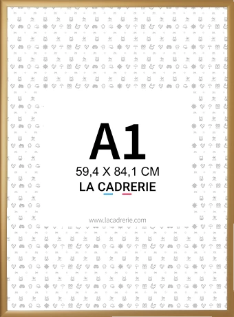 Découvrez notre élégant cadre A1 en aluminium or cuivré mat, idéal pour sublimer posters et affiches. Ce cadre photo A1, au design moderne, rehausse votre décoration intérieure, ajoutant une touche sophistiquée à tout espace.