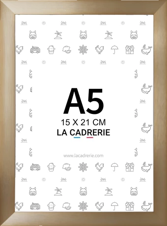 Découvrez notre élégant cadre A5 en aluminium champagne intense, idéal pour sublimer posters et affiches. Ce cadre photo A5, au design moderne, rehausse votre décoration intérieure, ajoutant une touche sophistiquée à tout espace.