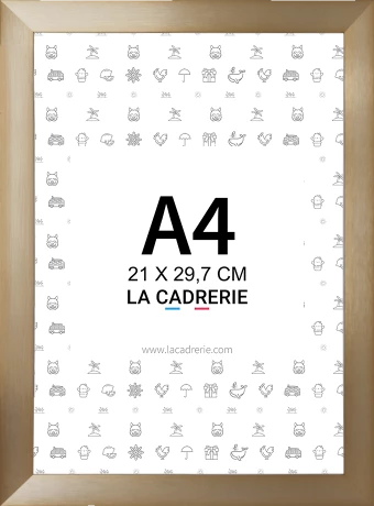 Découvrez notre élégant cadre A4 en aluminium champagne intense, idéal pour sublimer posters et affiches. Ce cadre photo A4, au design moderne, rehausse votre décoration intérieure, ajoutant une touche sophistiquée à tout espace.