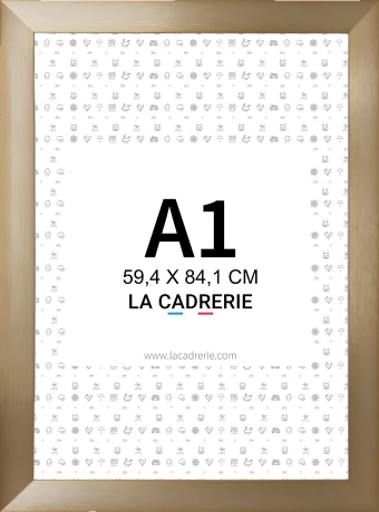 Découvrez notre élégant cadre A1 en aluminium champagne intense, idéal pour sublimer posters et affiches. Ce cadre photo A1, au design moderne, rehausse votre décoration intérieure, ajoutant une touche sophistiquée à tout espace.