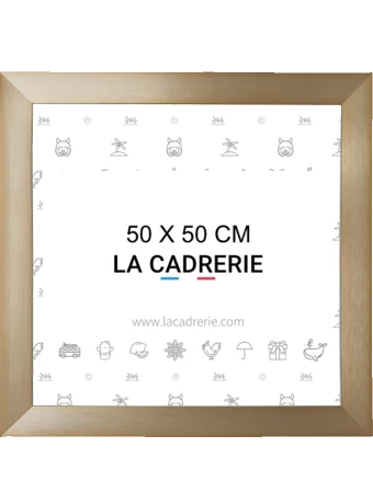 Découvrez notre élégant cadre 50x50 cm en aluminium champagne intense, idéal pour sublimer posters et affiches. Ce cadre photo 50x50 cm, au design moderne, rehausse votre décoration intérieure, ajoutant une touche sophistiquée à tout espace.